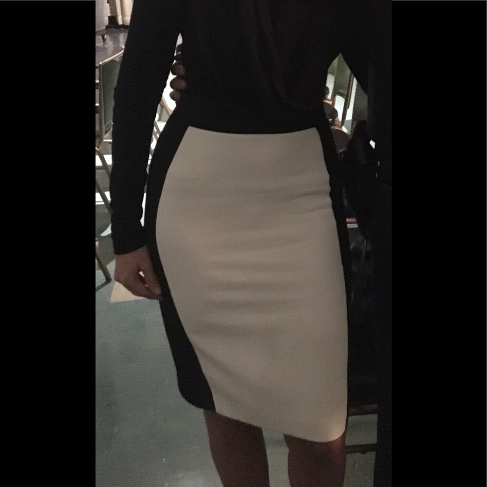 Zara Basic Skirt - image 8